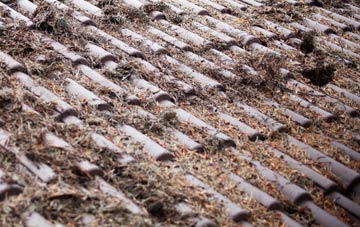 Bolam West Houses roof cleaning companies