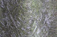 Bolam West Houses fibreglass roof work